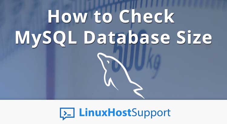 How to Check MySQL Database Size