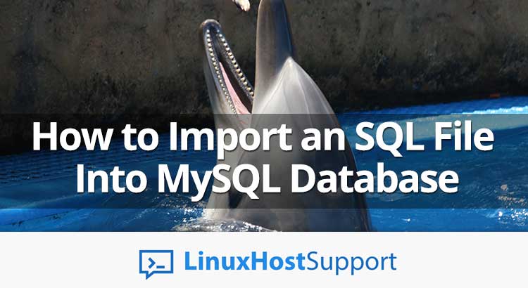 How to Import an SQL File into MySQL database