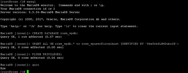host a website on vps from command line